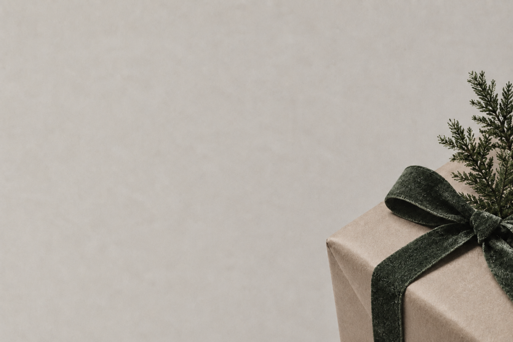 Regalo Navidad Provisional